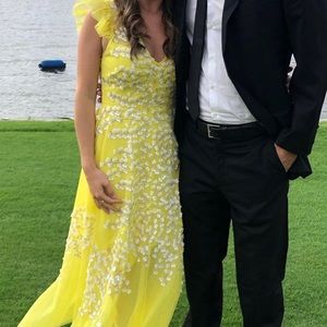 BCBG Embroidered Tulle Ruffle Dress